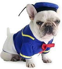 Halloween Pet Cosplay Costume Cat & Dog Outfits- Donald Duck