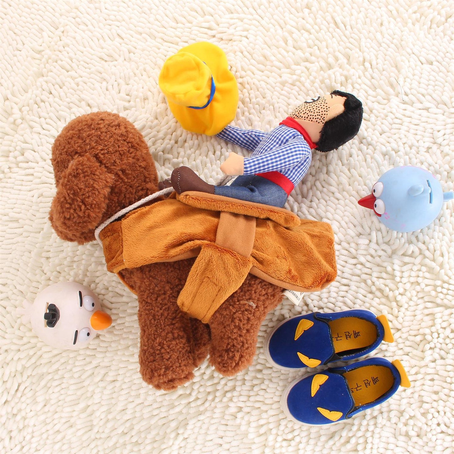 Funniest outfits for pets