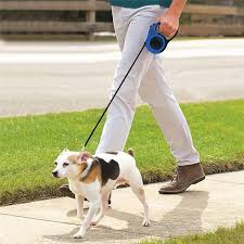 Dog Long Walks Blackwatch Leash