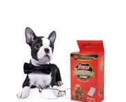 Pet nappy (three sizes)