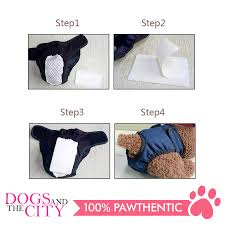 Pet nappy (three sizes)