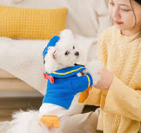Halloween Pet Cosplay Costume Cat & Dog Outfits- Donald Duck